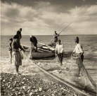  مشهد من الماضي - حياة الصيادين وعملهم في ميناء يافا قبل عام النكبة 1948