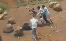 بالفيديو: العصي تنقذ رجلا هنديا من قبضة دب