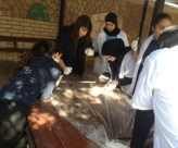  طلاب الطبيب الصغير في مدينة اللد يشرّحون الجهاز التنفسي والرئتين 