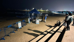  تركت الفقمة "يوليا" شاطئنا .. فهل سنراها مرة أخرى ؟! 