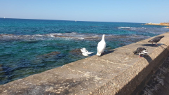 الطقس: استمرار الأجواء الحارة حتى السبت