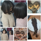  يافا: مارين وزهور وملك أبو حبيش يتبرعن بشعرهن لمرضى السرطان