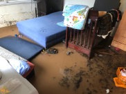  فيديو: النادي الاسلامي بيافا يفتح أبوابه لاستقبال العائلات المتضررة جراء الأمطار