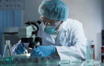 علماء: فيروس كورونا "مرض موسمي وفصل الشتاء مرتعا له"