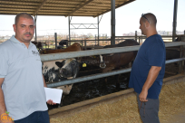 شاهد: جمعية يافا "الجمعة آخر موعد للمشاركة في مشروع الاضاحي وترقبوا ما يبشرّ بالخير الكثير"