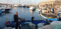 فيديو: صيادو يافا "الأسماك نظيفة ولم تتعرض للتلوّث" ووزارة الزراعة تُؤكد