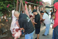  بالفيديو: جمعية يافا - إنطلاق المرحلة الثالثة من مشروع الأضاحي في مدينة يافا