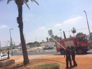 بالصور: احتراق اشجار وحديقة ومركبة في مدينة اللد