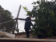 جمعية يافا للاغاثة الانسانية "حملة جمع التبرعات لترميم بيت عائلة مستورة بيافا ما زالت مستمرة"