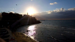 شاهد: فيلم "جمعية يافا ... عطاء لا ينضب"