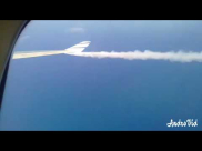 بالفيديو: عصفور يرغم طائرة "العال" على تفريغ الوقود بالجو والهبوط اضطراريا