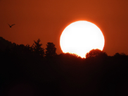 فصل الصيف يبدأ اليوم ويستمر لمدة 93 يوم و15 ساعة و47 دقيقة