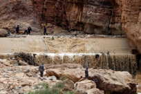 التحقيق البرلمانية بفاجعة البحر الميت تحمل وزيري التربية والسياحة المسؤولية الاخلاقية