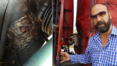 سائق شاحنة تركي يتوقف عن استخدامها حتى تفقس صغار الطيور التي عششت في محركها
