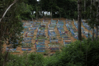 البرازيل: إنشاء 13 ألف مقبرة جماعية بسبب وفيات كورونا