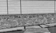 كلية صفد: خط عبارات عنصرية ضد العرب