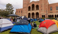 لأجل غزة.. طلاب بجامعة برينستون يضربون عن الطعام