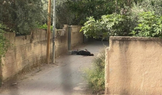 عملية عسكرية في جنين - مصادر فلسطينية :استشهاد سبعة بينهم طبيب"