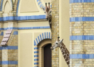 فيديو: سعياً وراء لقمة العيش.. يحول منزله إلى حديقة حيوان