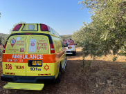 مقتل الشقيقين يحيى وعمر سعدي من جديدة المكر في جريمة إطلاق نار بأبو سنان