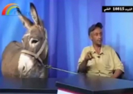 فيديو: قناة أردنية تستضيف حمار ببرنامج حواري