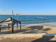 حالة الطقس: أجواء ربيعية معتدلة