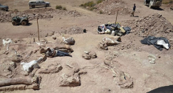 اكتشاف عظام وحش بحري عمره 200 مليون عام