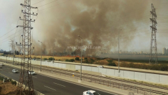 فيديو: حريق هائل في الاحراش قرب مدينة اللد والشرطة تغلق مقطعاً من شارع "1"