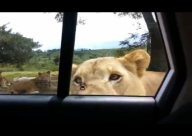 فيديو:  لو كنت مكانه.. ماذا ستفعل ؟