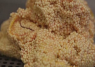 فيديو: أغلى كافيار في العالم