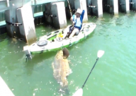 فيديو: لحظة اصطياد ذئب بحري عملاق