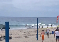 بالفيديو: سقوط طائرة على شاطئ كاليفورنيا