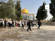  لليوم الثالث: اقتحام المسجد الأقصى المبارك