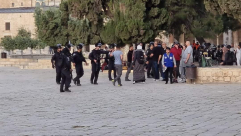 اقتحامات للأقصى وآلاف المستوطنين يحتشدون بساحة البراق