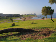 الطقس: صافٍ نهارا وبارد ليلا