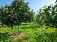 الطقس: أجواء خريفية متقلبة حتى الخميس