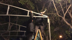  فيديو: اصرار جماهيري عنيد - نصب خيمة أكبر لعائلة يافاية في حديقة الغزازوة