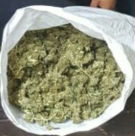 اللد: القاء القبض على 3 مشتبهين بحوزتهم كميات من السموم 