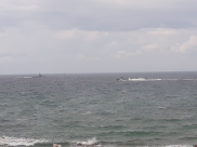   صور: الشرطة البحرية تُجري مناورات على شواطئ مدينة يافا