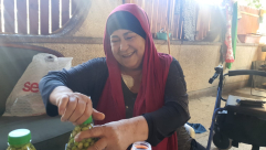 فيديو: طريقة كبس الزيتون الأخضر مع الحاجة أم أنور الوحيدي من اللد