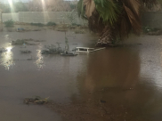 بالفيديو: مياه الأمطار تغمر عدداً من القبور داخل مقبرة طاسو في مدينة يافا 