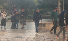  عشرات المستوطنين يقتحمون “الأقصى” ويؤدّون طقوسًا تلمودية