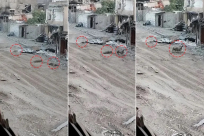 حتى البهائم لم تسلم من إجرامهم". كل شيء هالك في خان يونس