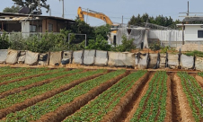 هدم منزل في قلنسوة وسط حماية قوات من الشرطة