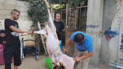  بالصور: أجواء عيد الأضحى المبارك وذبح الأضاحي في اللد والرملة 