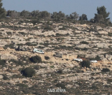 مصادر فلسطينية: استشهاد شاب بنيران مستوطن قرب رام الله