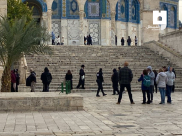 مستوطنون يقتحمون الأقصى واستدعاء الشيخ عكرمة صبري للتحقيق