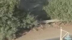 الرملة: التحقيق مع 5 فتية بشبهة القاء حجارة على السيارات بالمدينة