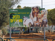 11 حديقة للكلاب في مدينة يافا رغم معاناة المواطنين من أزمة سكن خانقة