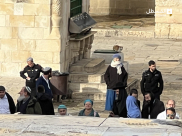 بالتزامن مع عيد المساخر اليهودي .. المستوطنون يقتحمون المسجد الأقصى 